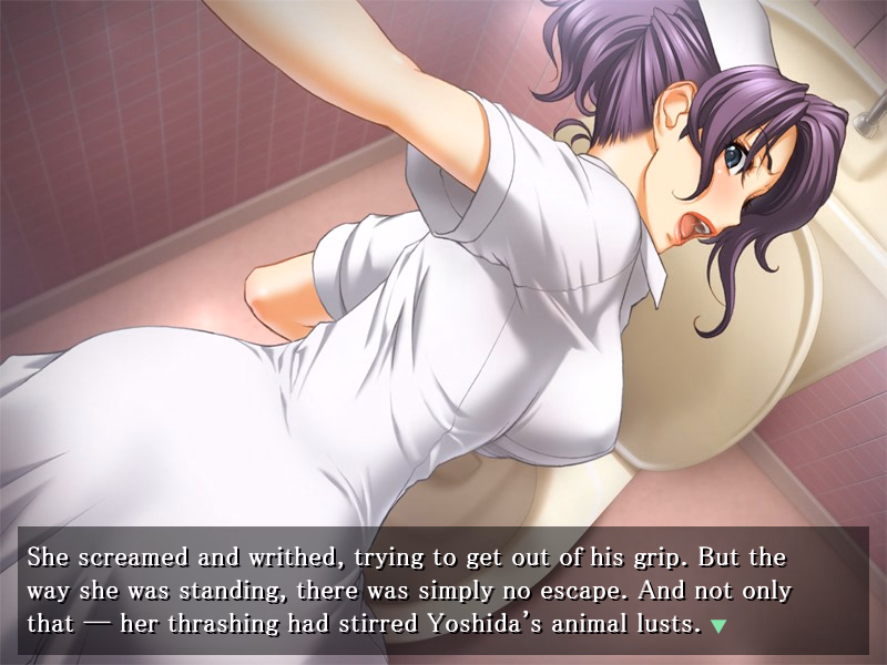VN Others Completed Like a Swatted Fly [Final] [Kanshin Soft]
