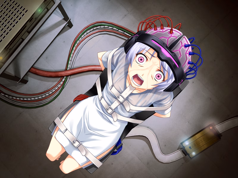 VN Others Completed Chaos;Head [Di-Patch 2.5] [Nitroplus]
