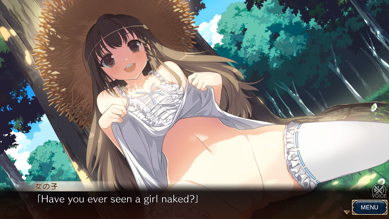 VN Others Completed Evenicle 2 Rance [Final] [AliceSoft]
