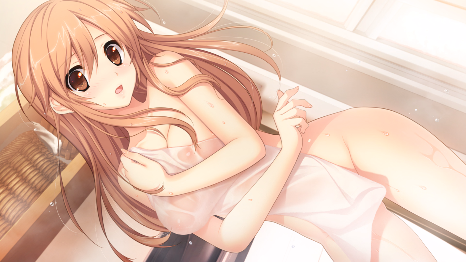 VN Others Completed Hatsukoi 1/1 [Tone Work's]