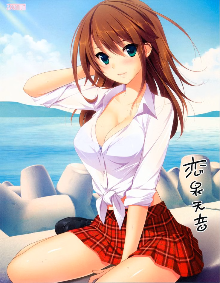 VN Others Completed Hatsukoi 1/1 [Tone Work's]