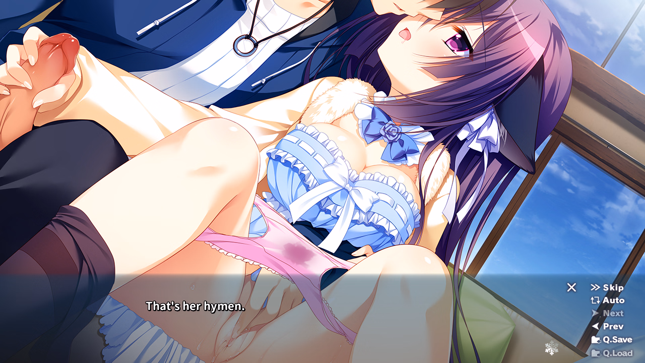 VN Others Completed Yukikoi Melt [Final] [Frontwing]