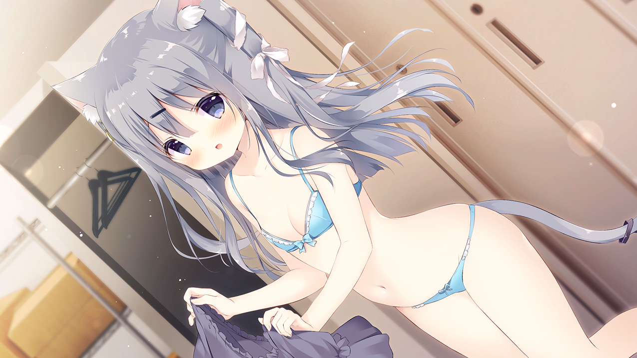 VN Others Completed Amairo Chocolate [Final] [Cabbage Soft]