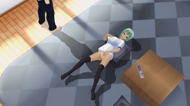 Others Completed 3D Girl Custom Evolution [v1.2] [Bullet]