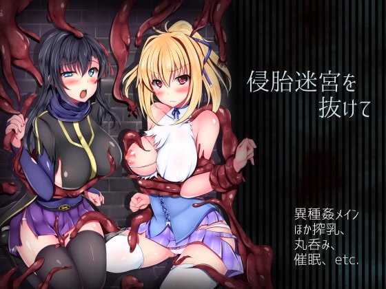 RPGM Completed Escape from Wombraid Maze [Final] [Hasoyua] download