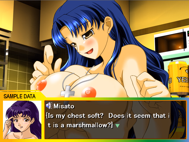 VN Others Completed Misato Training Plan [Final] [PeroPero Candy]