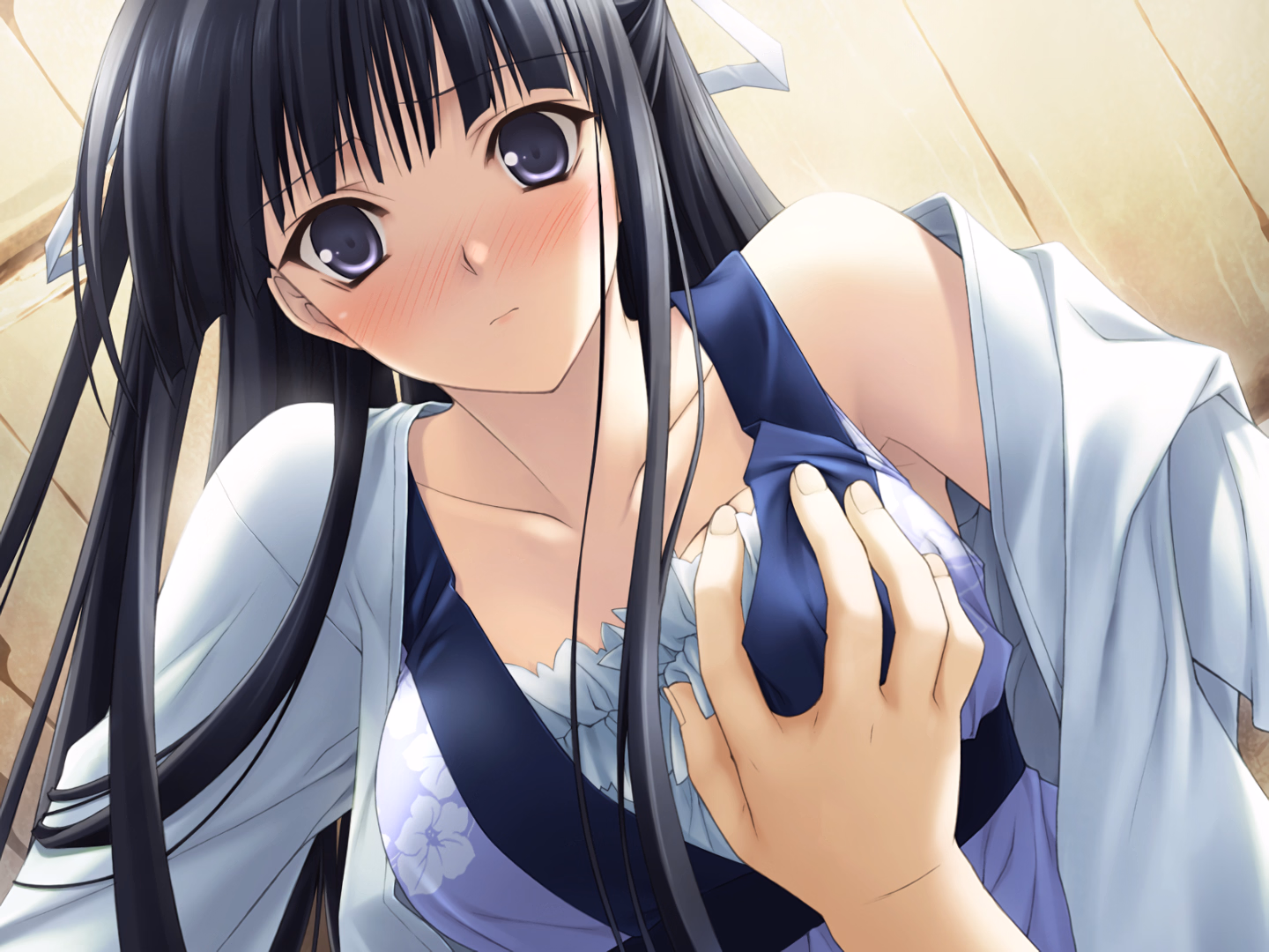 VN Others Completed Yosuga no Sora [Remastered] [Sphere]