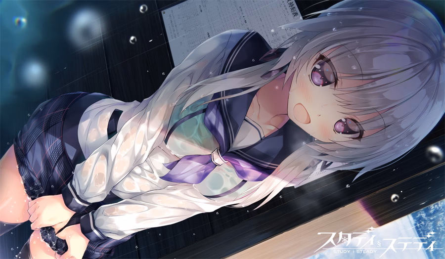 VN Others Completed Study § Steady [v1.03] [Marmelade]