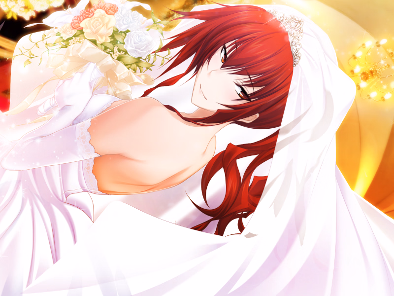 VN Others Completed Majikoi! Love Me Seriously! A - Special Edition [A1 - A5] [Minato Soft]