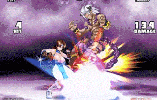 Others Completed Strip Fighter 5: Chimpocon Edition [Final] [Studio S]