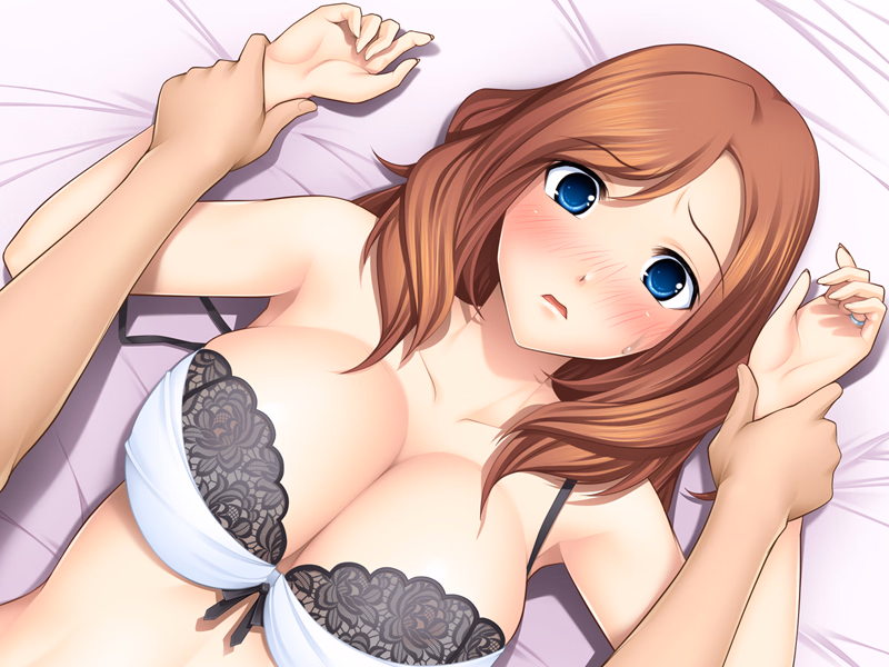 VN Others Completed Playing with My Brother's Wife [Final] [U･Me SOFT]