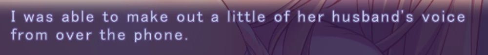 VN Others Completed Illicit Love: Secret Time with Housewives [Final] [Guilty Dash]