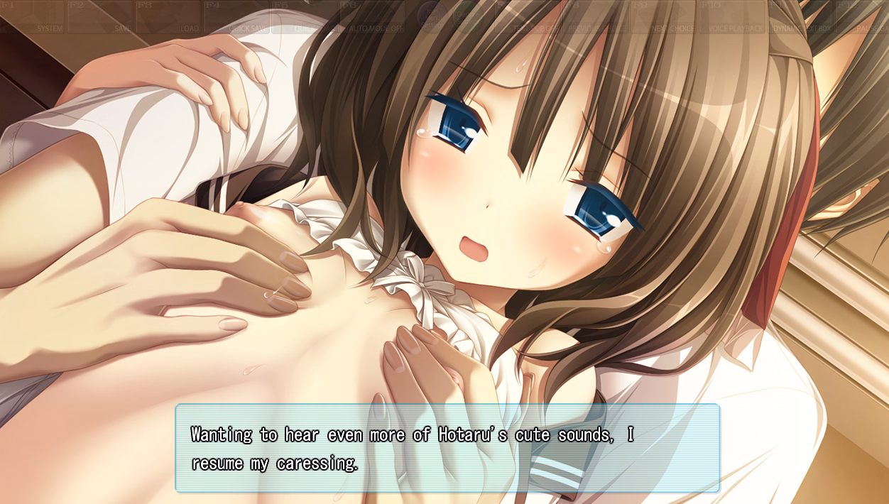 VN Others Completed Amatsutsumi [Final] [Purple software]
