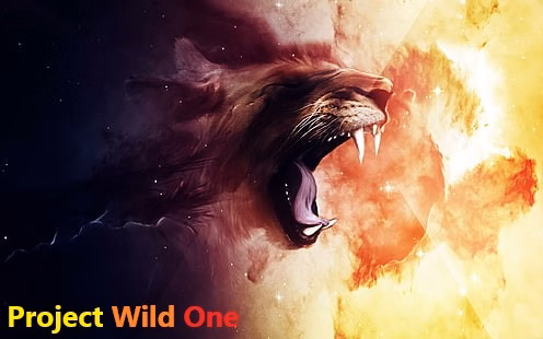 Unity Project Wild One [v0.10] [Lithier] download