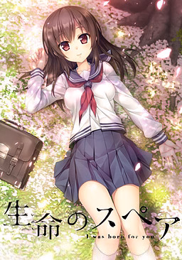 VN Others Completed Inochi no Spare [Final] [AKABEiSOFT3] download
