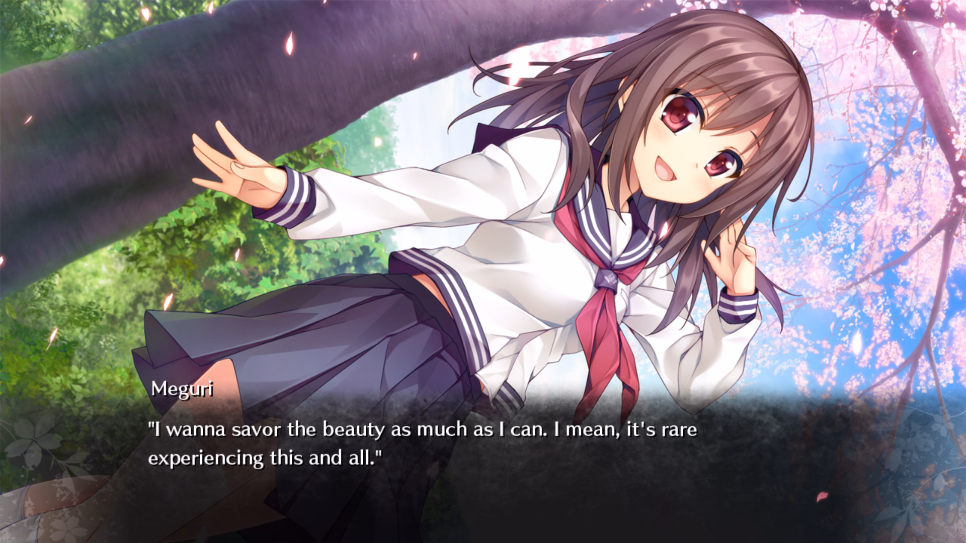 VN Others Completed Inochi no Spare [Final] [AKABEiSOFT3]