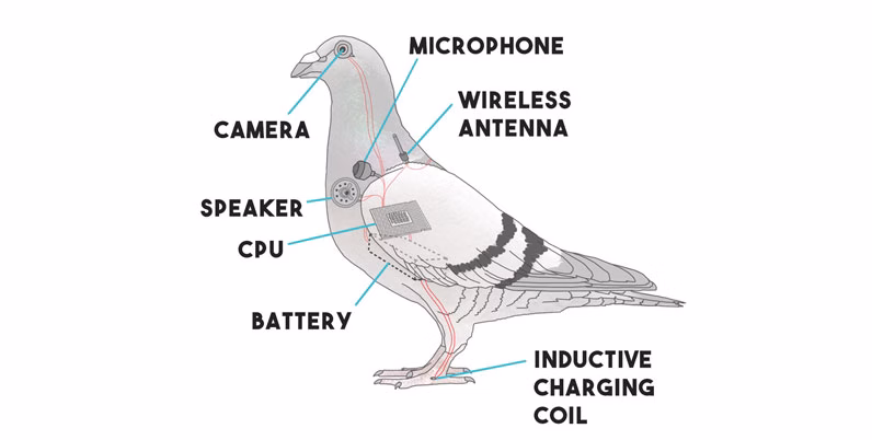 VN Unity Completed The Future Radio and the Artificial Pigeons [Final] [Laplacian]