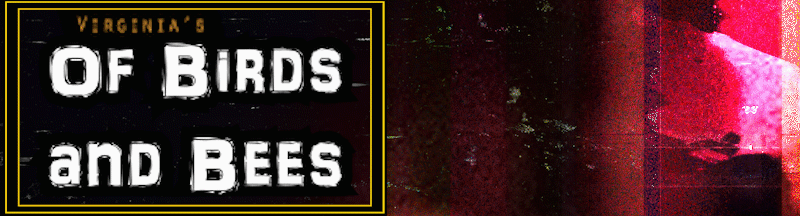 VN Ren'Py Of Birds and Bees [v1.1] [DiscipleOfVirginia] download