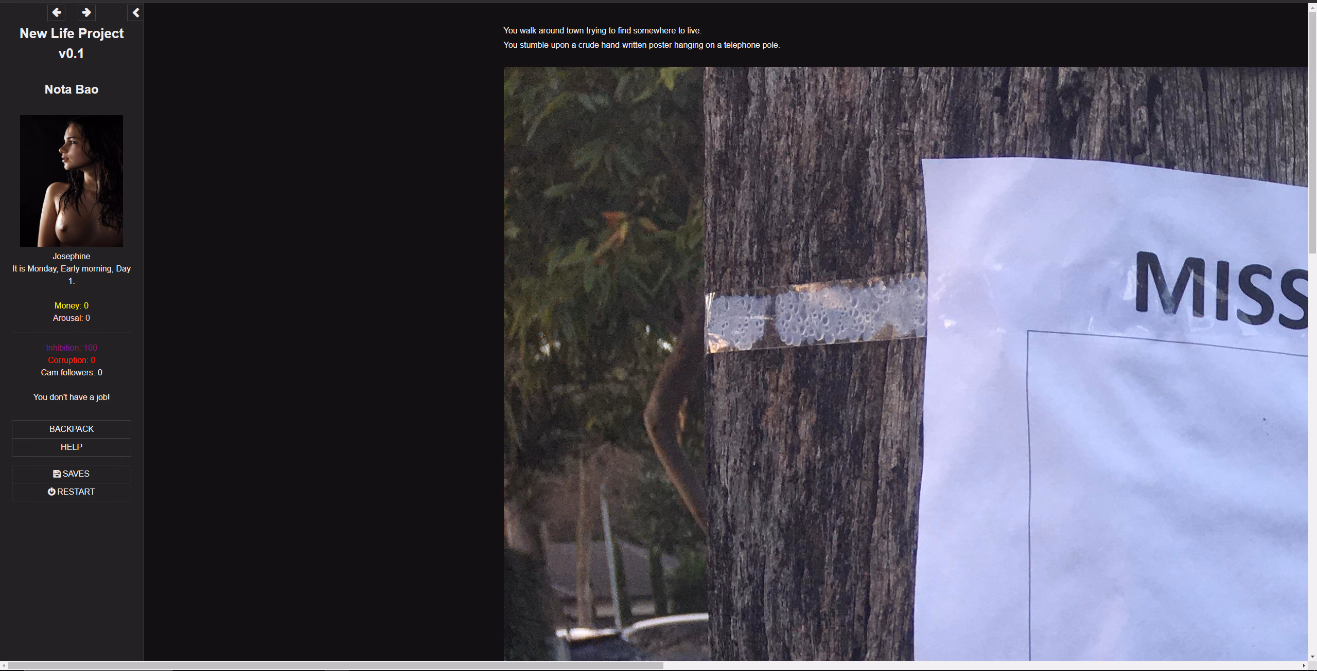 HTML New Life Project [v0.9.67] [Nota Bao]