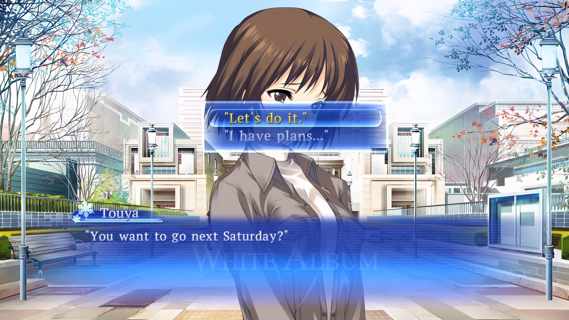 Others Completed WHITE ALBUM: Memories like Falling Snow [Final] [Aquaplus]