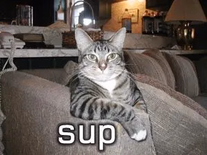 HTML Completed The SUP [v1.0] [MegyMonster]