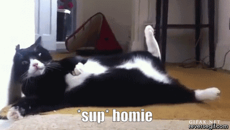 HTML Completed The SUP [v1.0] [MegyMonster]