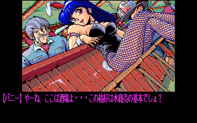 VN Others Completed Dragon Knight II [v1.1] [elf]