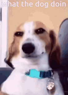 RPGM Completed The Dog in Us [Final] [SquirrelGirlDGT]