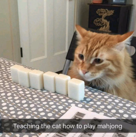 Unity Completed Illegal Mahjong [v1.2.0] [AleCubicSoft]