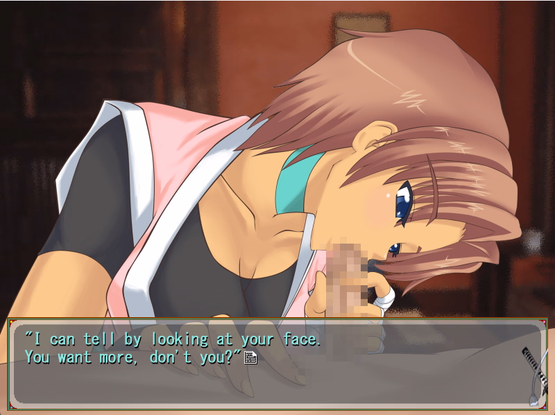 VN Others Completed How to Catch a Ninja [v1.08_MOD2] [Tower of Desire]