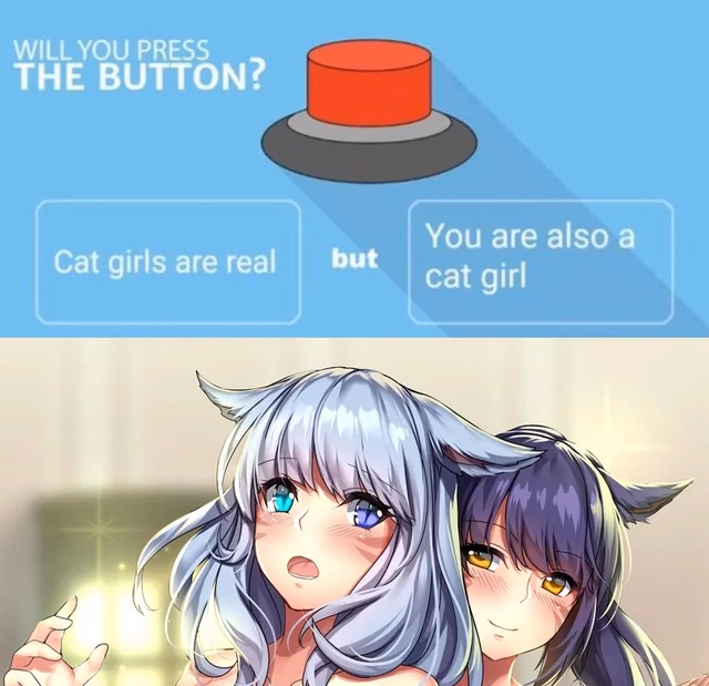 VN Ren'Py Completed Catgirl Highschool [v1.0] [NewWestGames]
