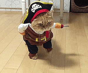 Unity Completed Miss Neko: Pirates [Final] [Orangeee]