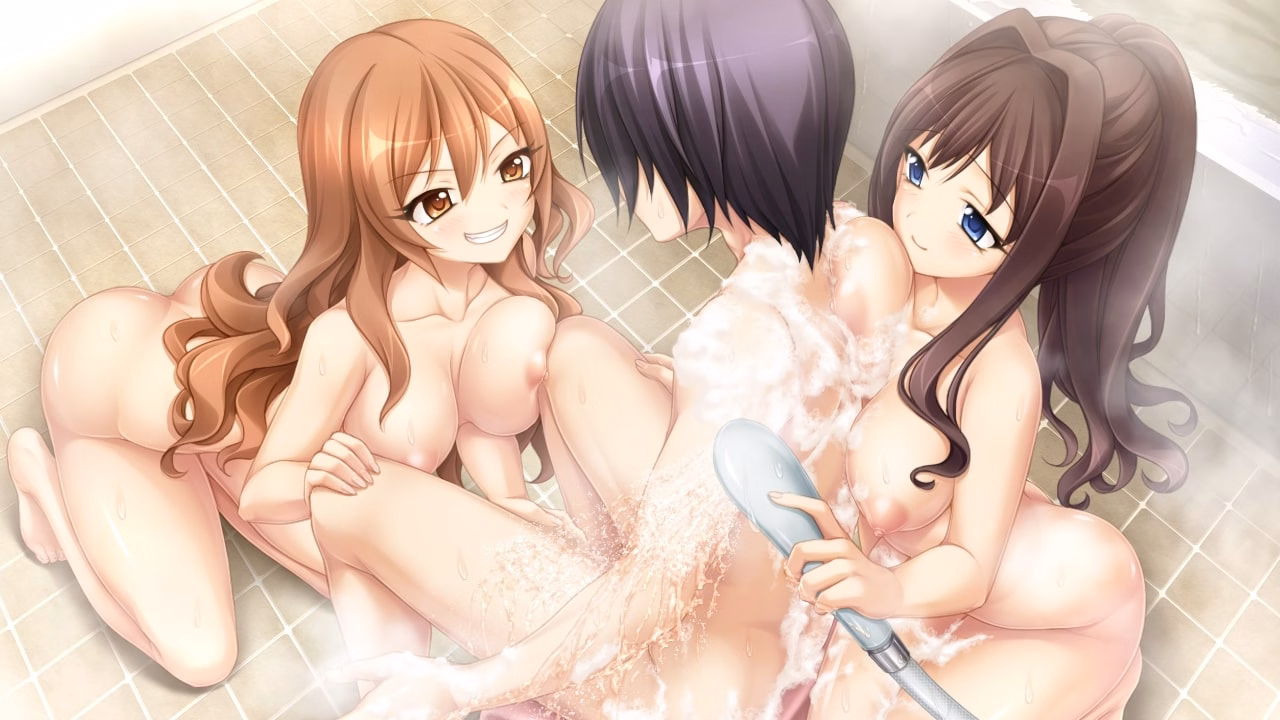 VN Others Completed Aoi Tori [v1.03] [Purple software]
