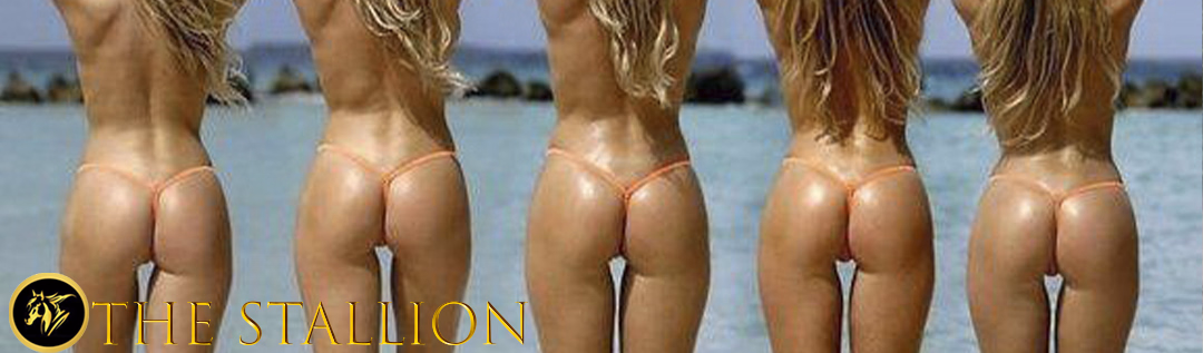 Ren'Py The Stallion [v0.18] [Horny Saint]
