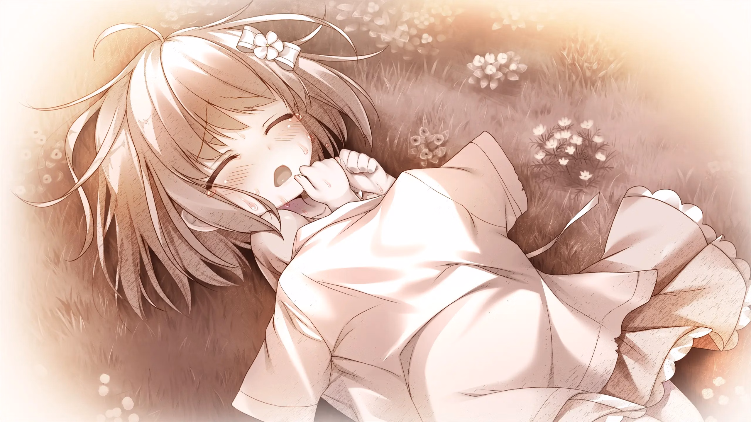 VN Others Completed Karenai Sekai to Owaru Hana [Final] [Sweet & Tea]