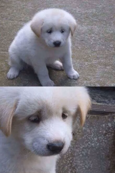 Unity Completed Honey Trap [Final] [PePPeroni]