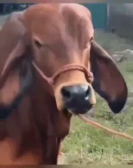 RPGM Completed Felarya Voracious Defense [v1.0] [E.S.P. SOFT Games]