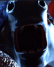 Ren'Py Overpowering Horseability [v1.1] [SPodvohom Games]