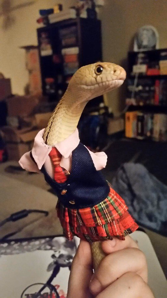 Ren'Py Abandoned A Snake Girl's Bloom [v0.1] [NeckByte]