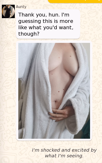 VN Others Completed The Day I Sent My Aunt a Dick Pic [v4] [RSPstudio]