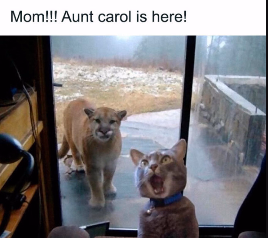 HTML A Weekend with Aunt Carol [v0.4] [ChromaK]