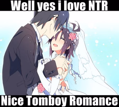 Ren'Py Completed A Short PSA on NTR [v1.0.1] [No Try Studios]