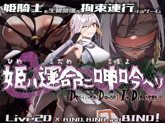 RPGM Completed Destined Damsel In Distress [v1.0] [egig ere faundation] download