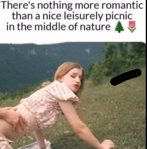 Unity Casual Sex with Your Friend on a Picnic [v0.5] [moon soft]