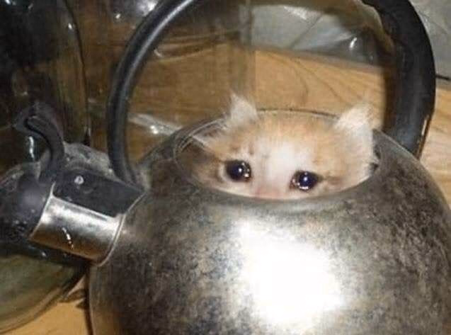 Ren'Py The Dented Kettle [v0.14.01] [DKettle]