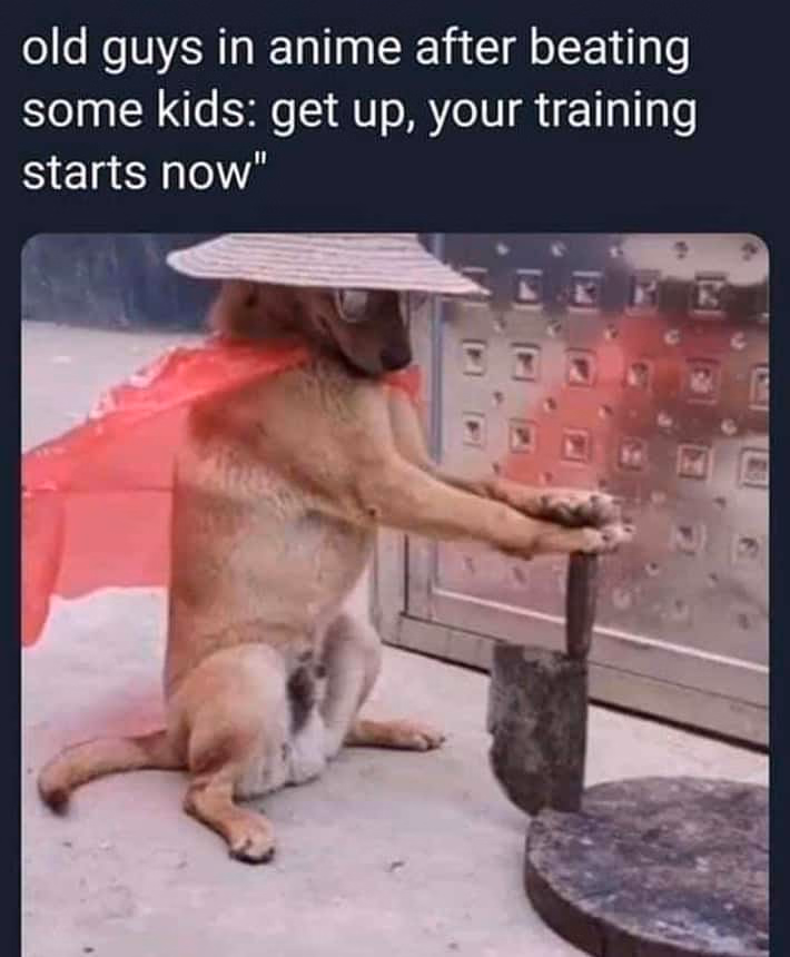 VN Others Completed Forced Training [v1.0] [Fuwamochiya]