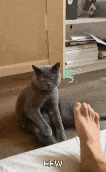 Others Daily Life with My Roommate Luna! [v0.5.0] [CottaDev]