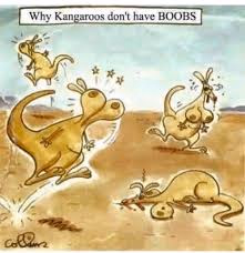 Others Bootyville Kangaroos [v1.0.5] [Prince St Studio]