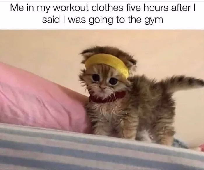 VN HTML Completed The Gym Love Affair [v1.0] [MelonX Saga]