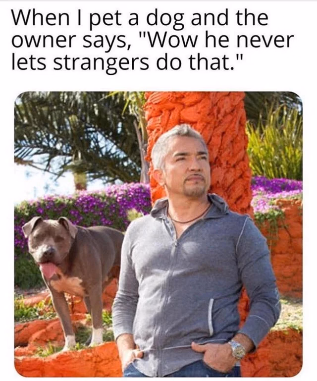 RPGM Completed The Pet Whisperer [v1.0] [Sexual Orange]